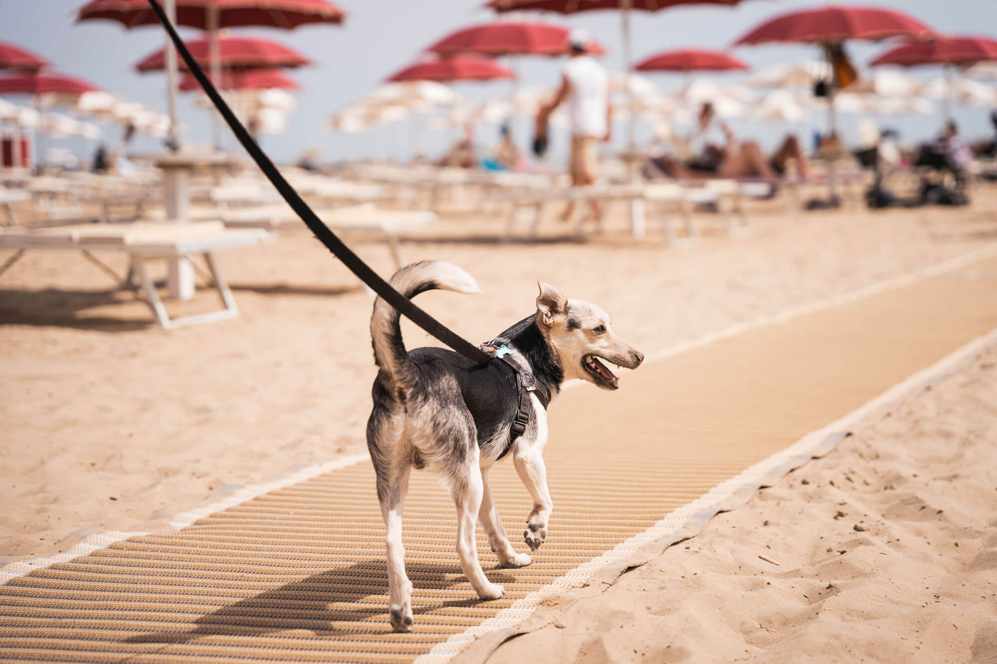 Rimini Family Resort