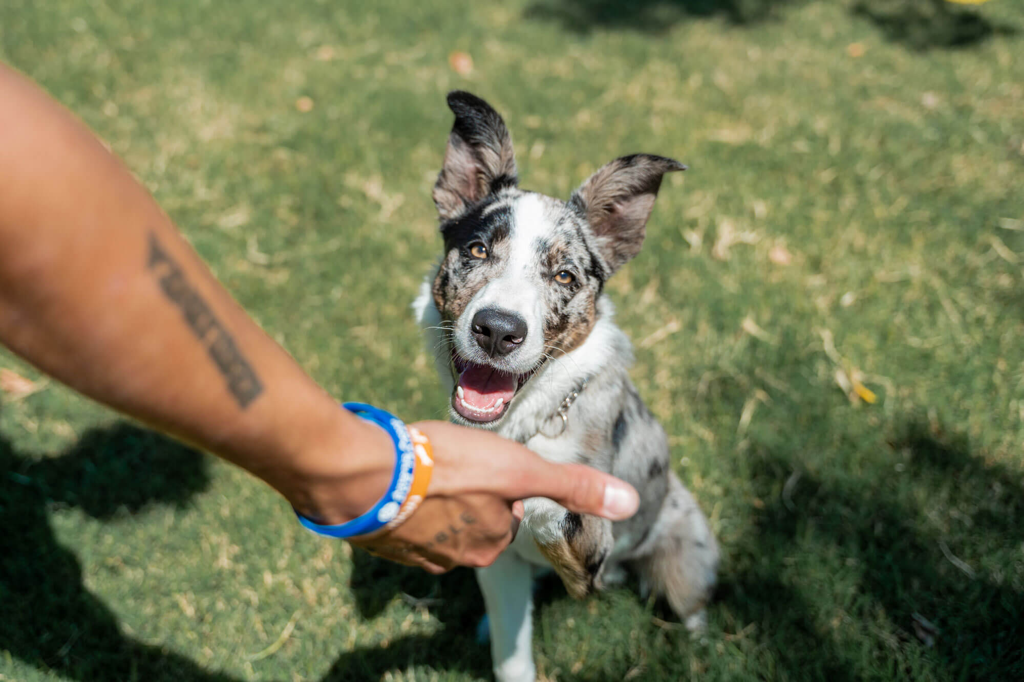 Roseto degli Abruzzi Easy Camping Village