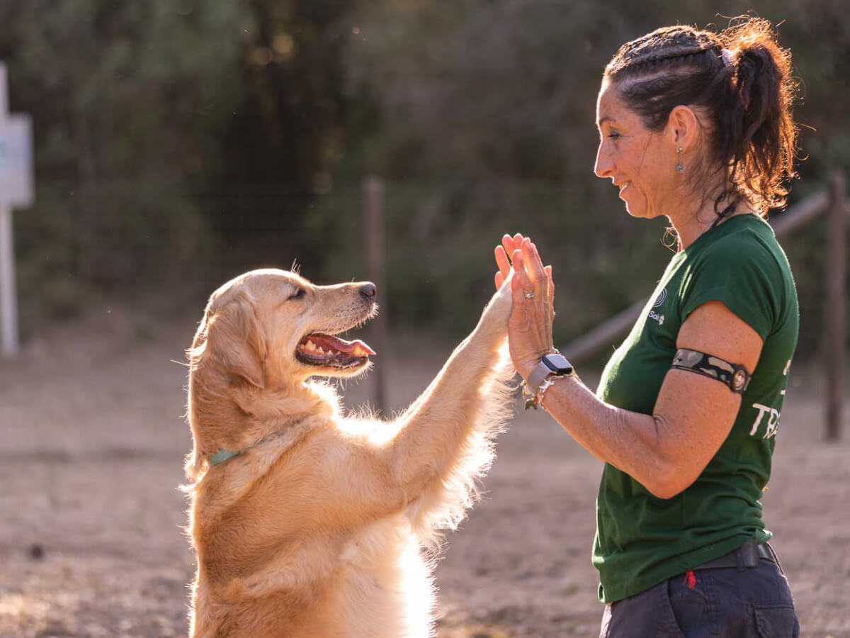 Orbetello Family Collection