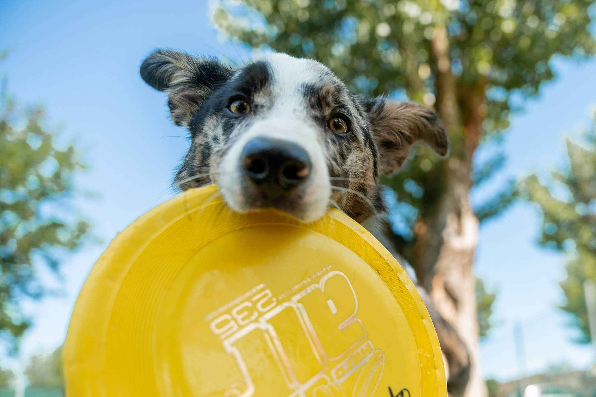 Roseto degli Abruzzi Easy Camping Village