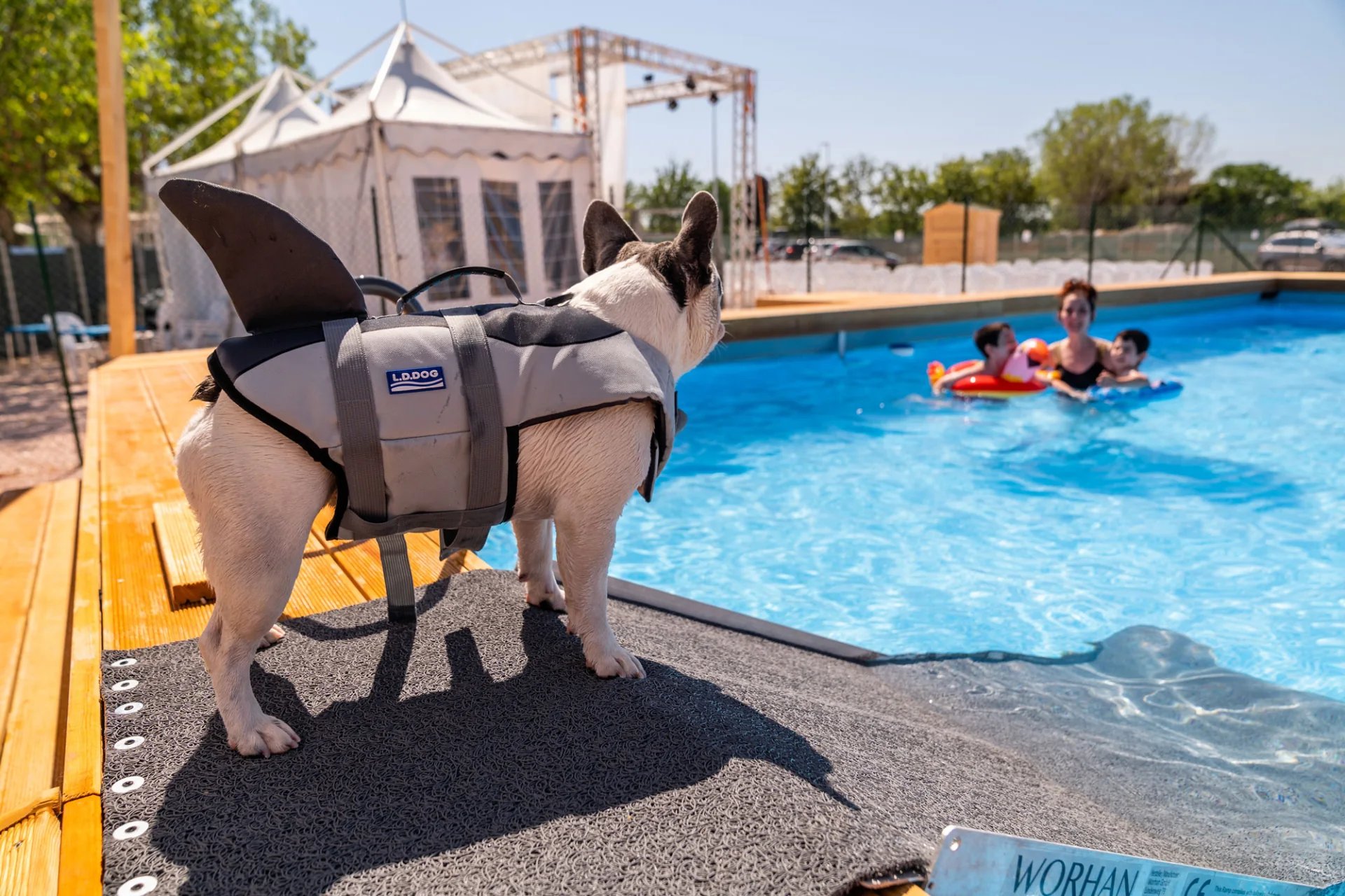 Un cane in vacanza: la piscina dedicata ai cani nei nostri villaggi